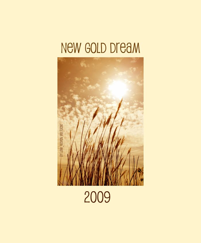 New Gold Dream by law keven via Flickr pikniked